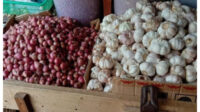 Harga Pangan Nasional Hari Ini 20 Juli 2026 Beras Cabai Merah Bawang dan Minyak Goreng Kompak Naik