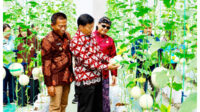 Desa Karangrejo Borobudur Magelang menjalani verifikasi sebagai calon ProKlim Lestari.Foto Istimewa
