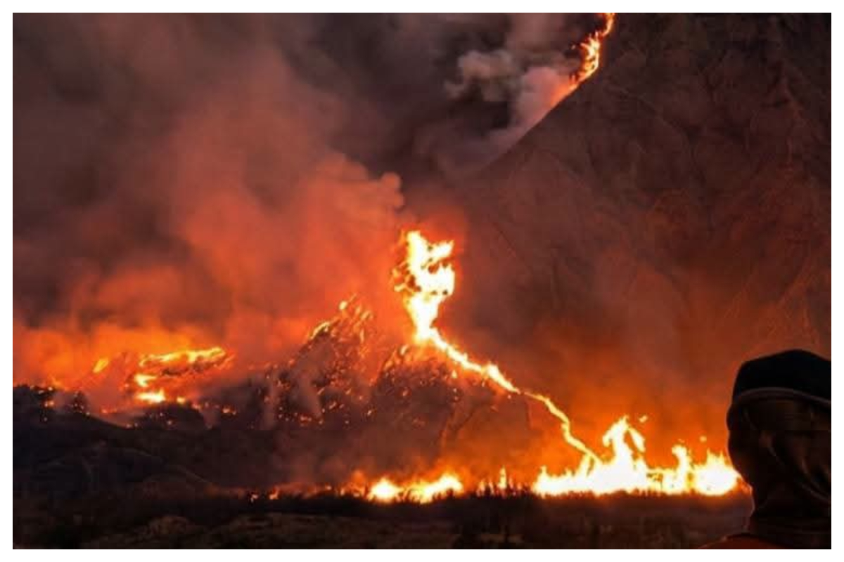 Gunung Bromo ditutup total akibat kebakaran mulai 8 Agustus 2026. foto Istimewa