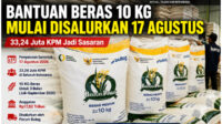 Pemerintah mulai menyalurkan bantuan beras 10 kg secara serentak pada 17 Agustus 2026. foto Ilustrasi