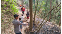 Sebanyak 367 hektare lahan Perhutani terbakar api berhasil dipadamkan.Foto Istimewa