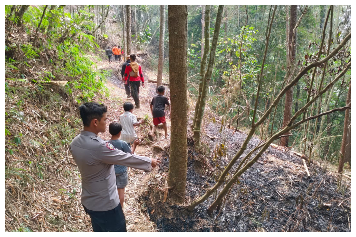 Sebanyak 367 hektare lahan Perhutani terbakar api berhasil dipadamkan.Foto Istimewa