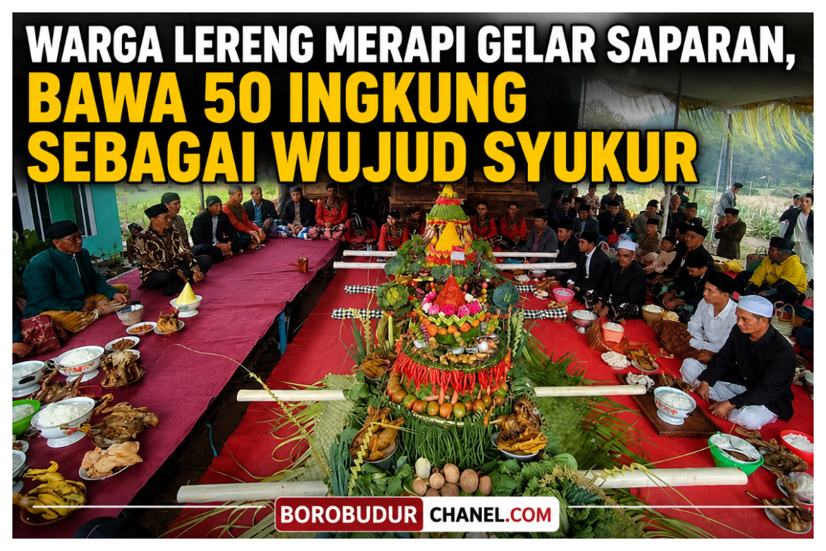 Warga Lereng Merapi Gelar Saparan Bawa 50 Ingkung sebagai Wujud Syukur