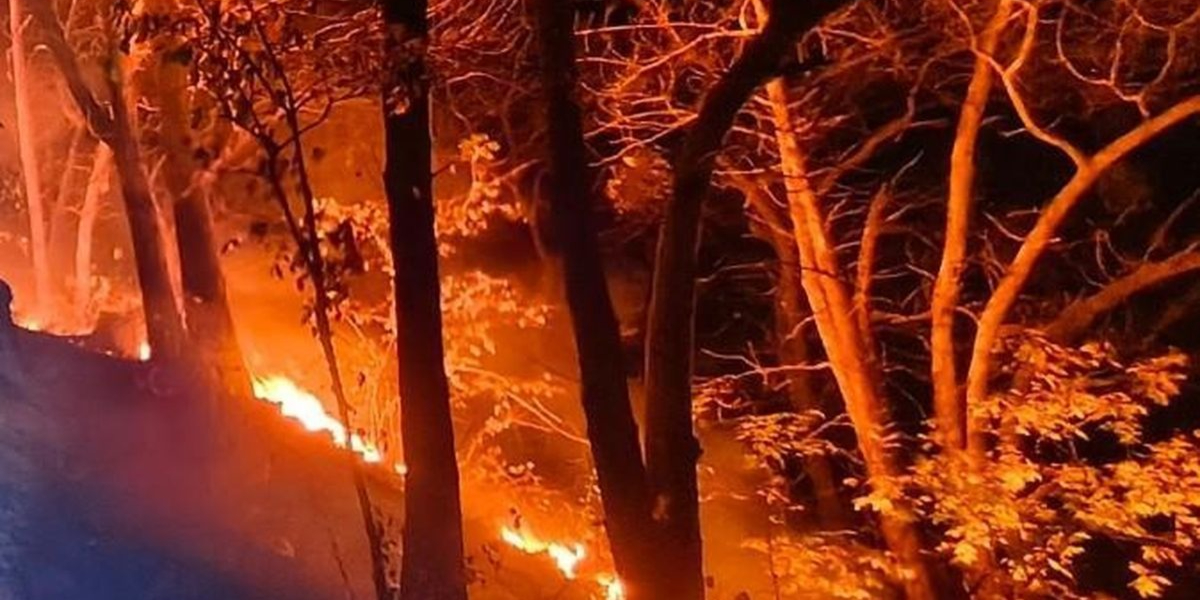 BBKSDA Jawa Timur menutup wisata mulai 4 September 2026 demi keselamatan. Karhutla memasuki jalur pendakian Kawah Ijen.
