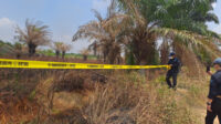 KLH menyegel 21 perusahaan di tujuh provinsi terkait karhutla. Sebanyak 335 konsesi terindikasi dan masih diverifikasi
