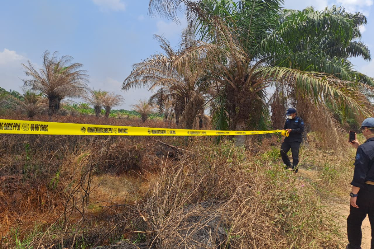 KLH menyegel 21 perusahaan di tujuh provinsi terkait karhutla. Sebanyak 335 konsesi terindikasi dan masih diverifikasi